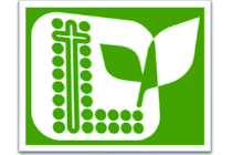 Evangelical Free Church of China Social Service – Evangelical Free Church of China - Lok Yan Learning Centre